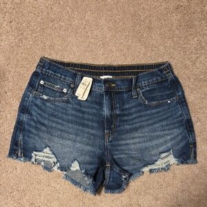 Aerie Blue Distressed Jean Shorts